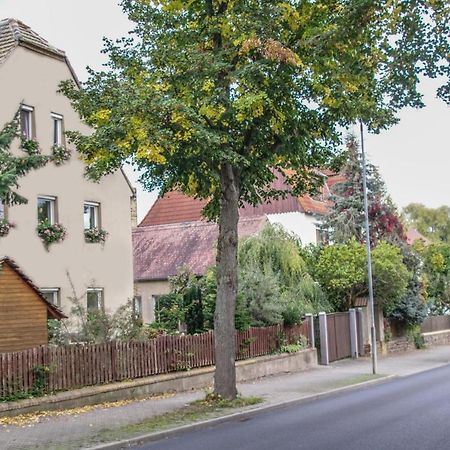 Pension Muldental Grossbothen Грима Екстериор снимка