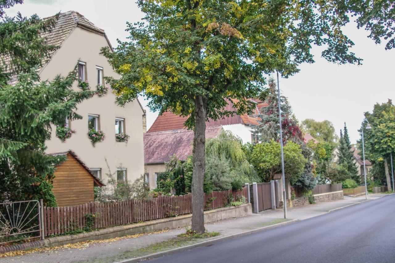 Pension Muldental Grossbothen Грима Екстериор снимка