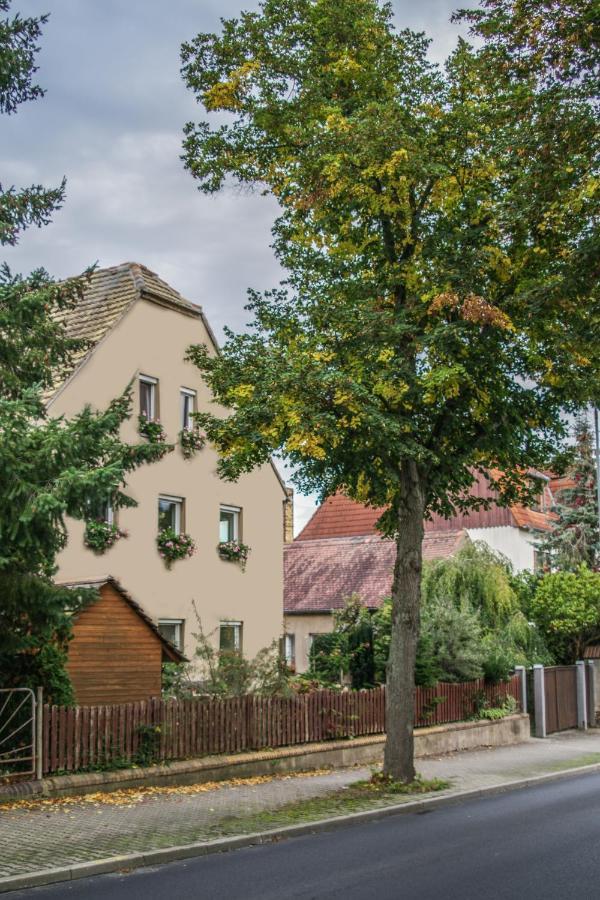 Pension Muldental Grossbothen Грима Екстериор снимка